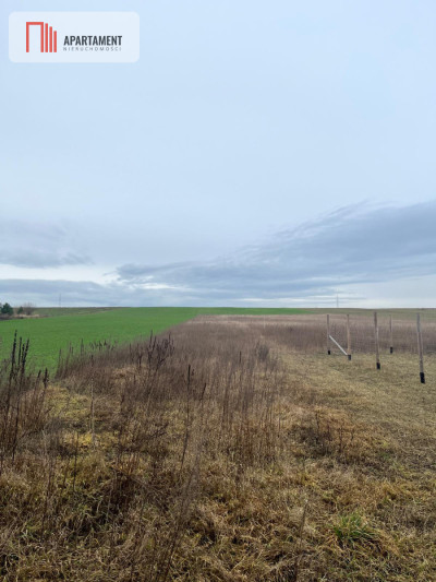 Działki z warunkami zabudowy 1075m2 - powiat nakielski  -
Kujawsko-Pomorskie Zdjęcie nr 6
