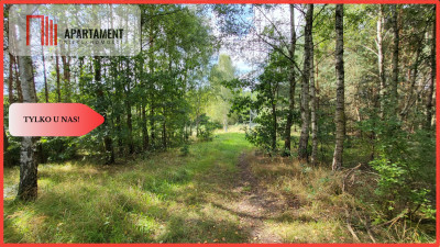 Działka na sprzedaż Skórka - powiat złotowski  -
Wielkopolskie