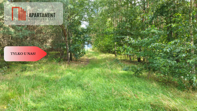Działka na sprzedaż Skórka - rezerwacja - powiat złotowski  -
Wielkopolskie Zdjęcie nr 3