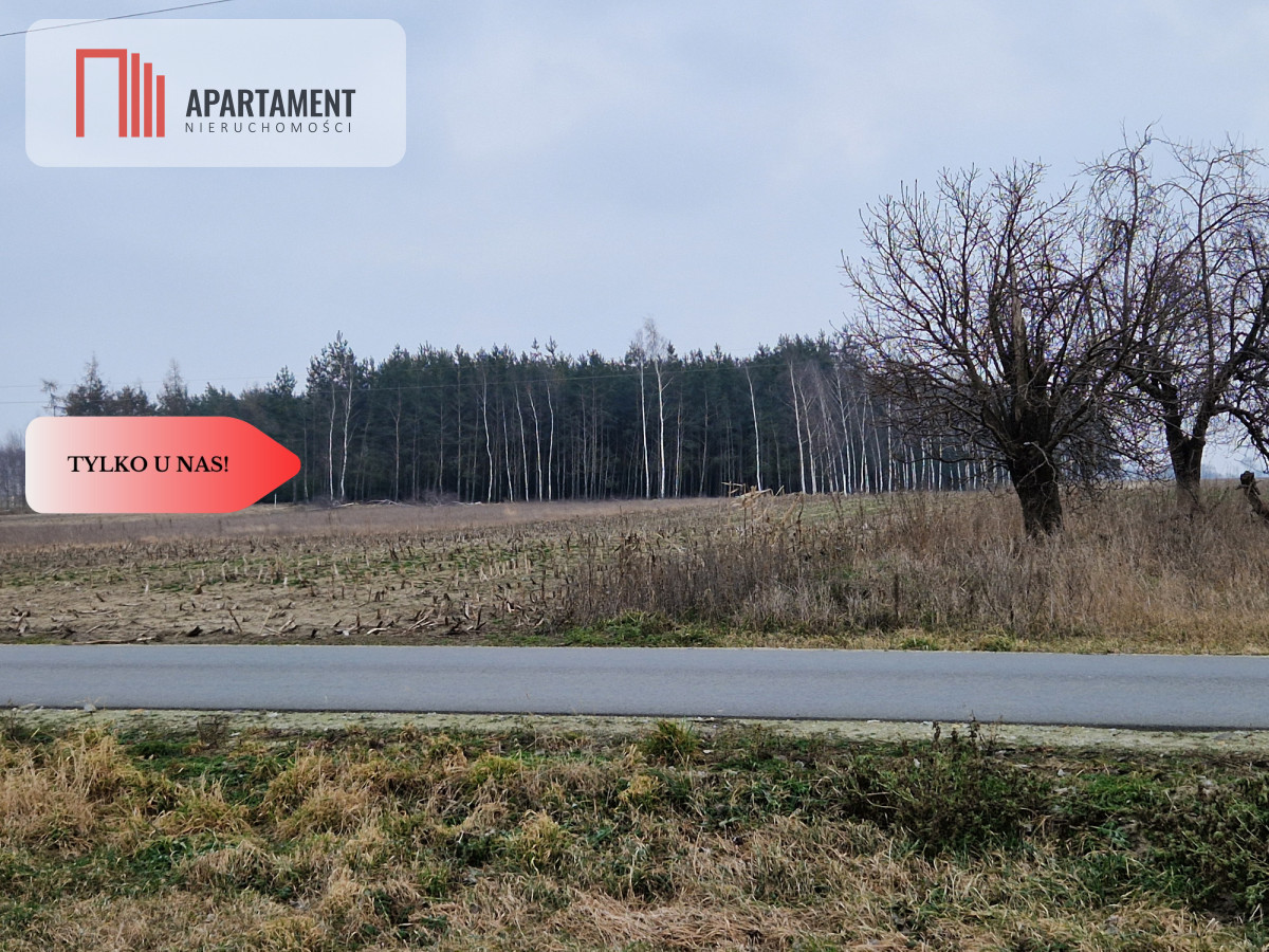 Działka  blisko dużego lasu - Tylko u nas - powiat żniński  -
Kujawsko-Pomorskie Zdjęcie nr 1