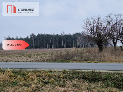 Działka  blisko dużego lasu - Tylko u nas - powiat żniński  -
Kujawsko-Pomorskie