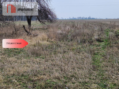 Działka  blisko dużego lasu - Tylko u nas - powiat żniński  -
Kujawsko-Pomorskie Zdjęcie nr 5