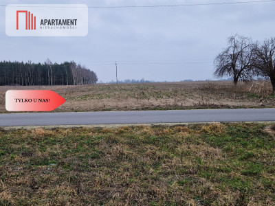 Działka  blisko dużego lasu - Tylko u nas - powiat żniński  -
Kujawsko-Pomorskie Zdjęcie nr 6