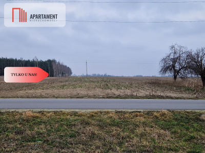 Działka  blisko dużego lasu - Tylko u nas - powiat żniński  -
Kujawsko-Pomorskie Zdjęcie nr 7