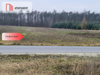 Działka budowlana ze ścianą lasu  - Tylko u nas - powiat żniński  -
Kujawsko-Pomorskie
