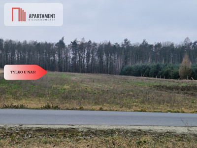Działka budowlana ze ścianą lasu  - Tylko u nas - powiat żniński  -
Kujawsko-Pomorskie Zdjęcie nr 2