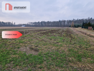 Działka budowlana ze ścianą lasu  - Tylko u nas - powiat żniński  -
Kujawsko-Pomorskie Zdjęcie nr 3