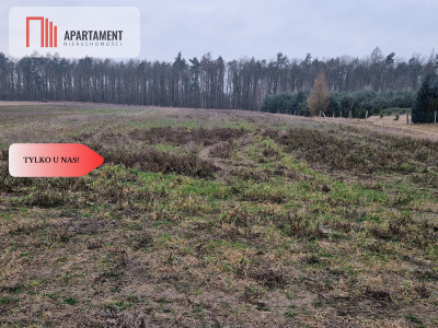 Działka budowlana ze ścianą lasu  - Tylko u nas - powiat żniński  -
Kujawsko-Pomorskie Zdjęcie nr 4