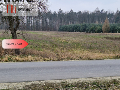 Działka budowlana ze ścianą lasu  - Tylko u nas - powiat żniński  -
Kujawsko-Pomorskie Zdjęcie nr 6