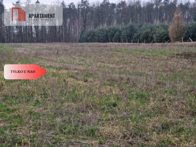 Działka budowlana ze ścianą lasu  - Tylko u nas - powiat żniński  -
Kujawsko-Pomorskie Zdjęcie nr 9