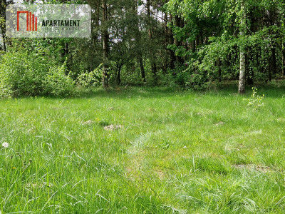 Niepowtarzalne  działki z linią brzegową jeziora - powiat żniński  -
Kujawsko-Pomorskie Zdjęcie nr 4