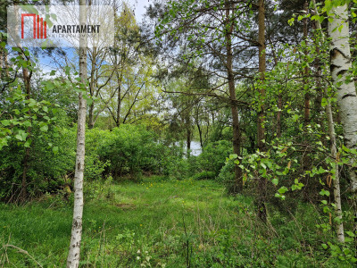 Niezwykłe działki przy jeziorze - powiat żniński  -
Kujawsko-Pomorskie Zdjęcie nr 7