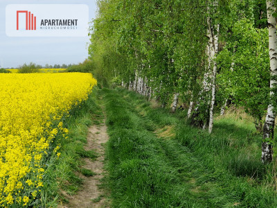 Niezwykłe działki przy jeziorze - powiat żniński  -
Kujawsko-Pomorskie Zdjęcie nr 9