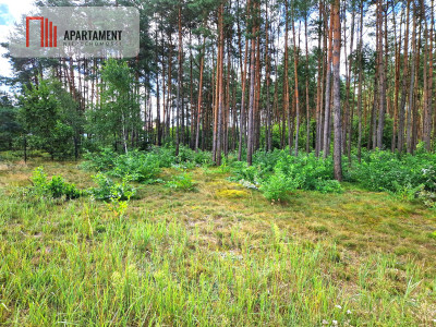 Piękna działka z lasem - Zalew Koronowski - powiat bydgoski  -
Kujawsko-Pomorskie Zdjęcie nr 4