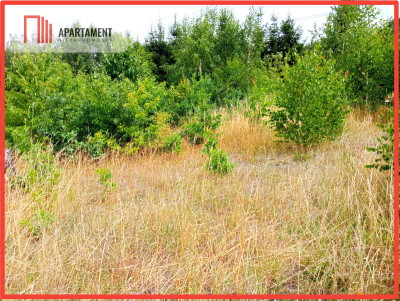 Działka Kruszyn - wydane Warunki Zabudowy - powiat bydgoski  -
Kujawsko-Pomorskie Zdjęcie nr 4