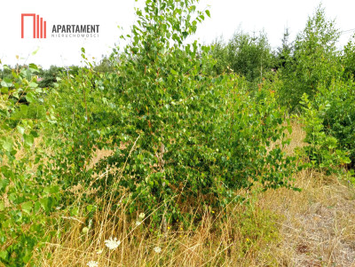 Działka Kruszyn - wydane Warunki Zabudowy - powiat bydgoski  -
Kujawsko-Pomorskie Zdjęcie nr 5
