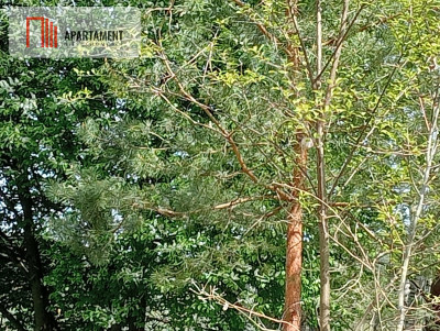 Działka Kruszyn - wydane Warunki Zabudowy - powiat bydgoski  -
Kujawsko-Pomorskie Zdjęcie nr 7