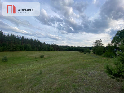 Atrakcyjna Działka Rolna w Nowej Kiszewie - powiat kościerski  -
Pomorskie Zdjęcie nr 4