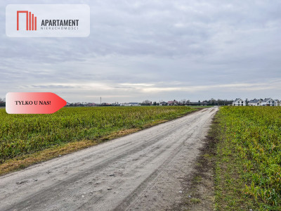 Tylko u nas Działka budowlana-055 ha-jezioro - powiat toruński  -
Kujawsko-Pomorskie Zdjęcie nr 3
