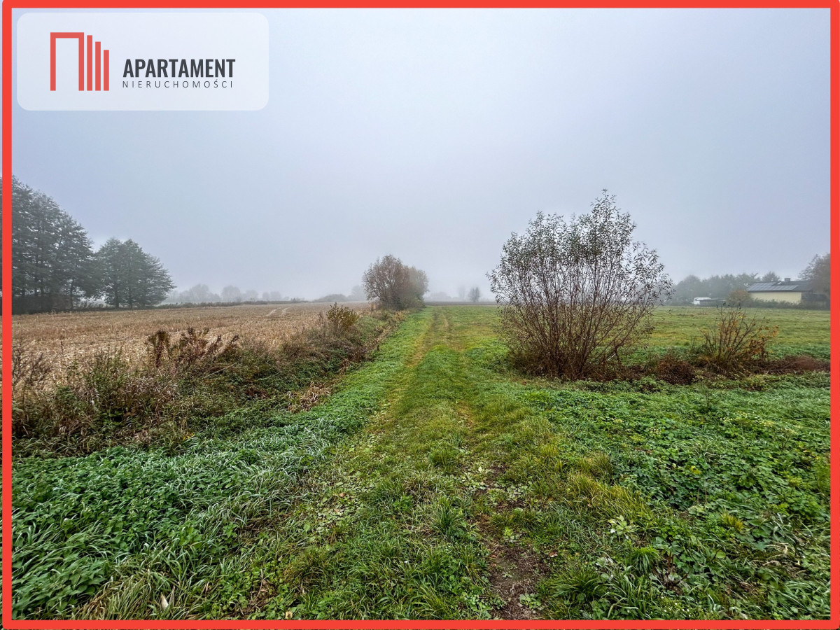 Dębowiec-1000m2-WZ-media w pobliżu-spokój - powiat bydgoski  -
Kujawsko-Pomorskie Zdjęcie nr 1