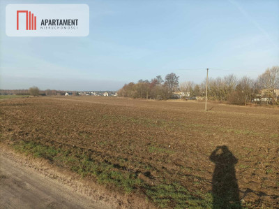 ATRAKCYJNA DZIAŁKA Budowlano-inwestycyjna - powiat Grudziądz  -
Kujawsko-Pomorskie Zdjęcie nr 3