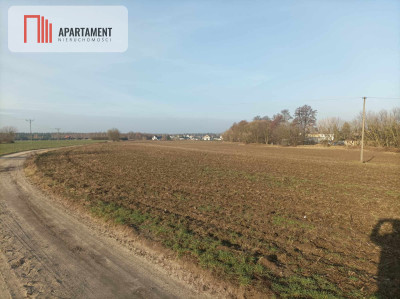 ATRAKCYJNA DZIAŁKA Budowlano-inwestycyjna - powiat Grudziądz  -
Kujawsko-Pomorskie Zdjęcie nr 4