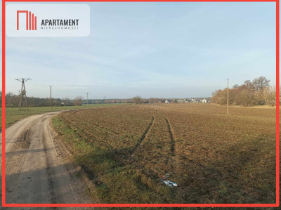 ATRAKCYJNA DZIAŁKA Budowlano-inwestycyjna - powiat Grudziądz  -
Kujawsko-Pomorskie Zdjęcie nr 8