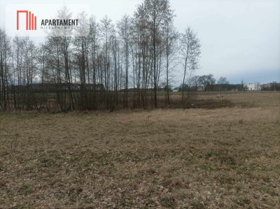 Super działki budowlane z drogą dojazdową - powiat aleksandrowski  -
Kujawsko-Pomorskie Zdjęcie nr 14