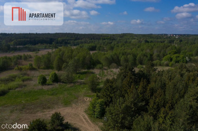 Atrakcyjna działka w dolinie Drwęcy - powiat brodnicki  -
Kujawsko-Pomorskie Zdjęcie nr 8