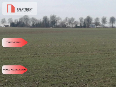 TYLKO U NAS-ATRAKCYJNE DZIAŁKI - powiat chełmiński  -
Kujawsko-Pomorskie Zdjęcie nr 3