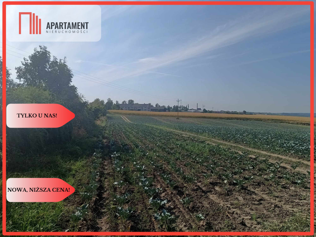 Tylko u Nas Działka w spokojnej okolicy - powiat chełmiński  -
Kujawsko-Pomorskie Zdjęcie nr 1
