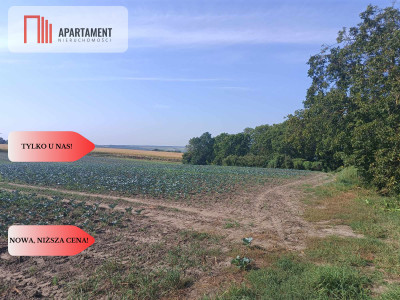 Tylko u Nas Działka w spokojnej okolicy - powiat chełmiński  -
Kujawsko-Pomorskie Zdjęcie nr 4