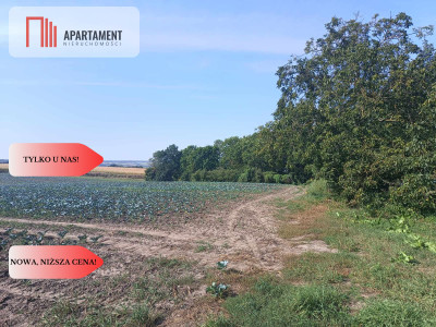 Tylko u Nas Działka w spokojnej okolicy - powiat chełmiński  -
Kujawsko-Pomorskie Zdjęcie nr 7