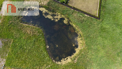 Atrakcyjna działka ze stawem na sprzedaż - powiat Grudziądz  -
Kujawsko-Pomorskie Zdjęcie nr 8