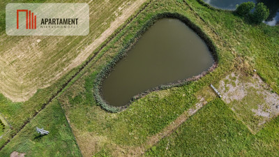 Atrakcyjna działka ze stawem na sprzedaż - powiat Grudziądz  -
Kujawsko-Pomorskie Zdjęcie nr 9