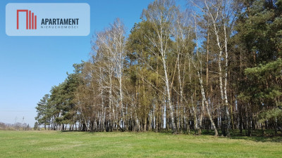Idealna działka dla ceniących spokój - powiat grudziądzki  -
Kujawsko-Pomorskie Zdjęcie nr 3