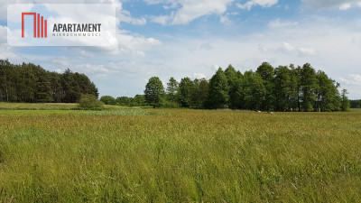 Idealna działka dla ceniących spokój - powiat grudziądzki  -
Kujawsko-Pomorskie Zdjęcie nr 4