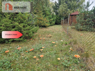 Tylko u Nas Działka zabudowana - powiat bydgoski  -
Kujawsko-Pomorskie Zdjęcie nr 11