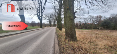4 działki obok siebie na sprzedaż Sobowidz wz - powiat gdański  -
Pomorskie Zdjęcie nr 11