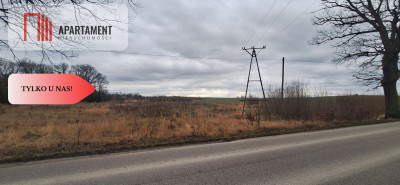 4 działki obok siebie na sprzedaż Sobowidz wz - powiat gdański  -
Pomorskie Zdjęcie nr 12