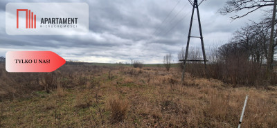 4 działki obok siebie na sprzedaż Sobowidz wz - powiat gdański  -
Pomorskie Zdjęcie nr 8