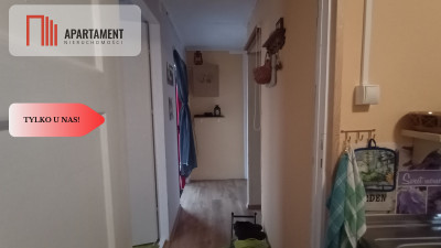 Działka rod z domkiem Jagodowo las jez Borówno - powiat bydgoski  -
Kujawsko-Pomorskie Zdjęcie nr 14