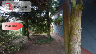 Działka rod z domkiem Jagodowo las jez Borówno - powiat bydgoski  -
Kujawsko-Pomorskie Zdjęcie nr 4
