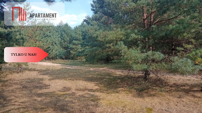 Działka Cekcyn obok lasu jezior budowlana  - powiat tucholski  -
Kujawsko-Pomorskie Zdjęcie nr 8