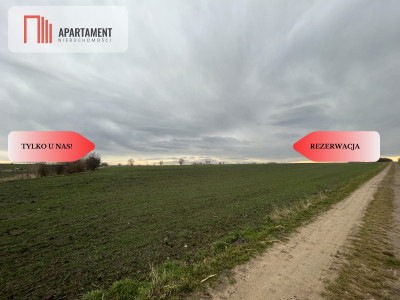 działka budowlana815 m2REZERWACJA - powiat trzebnicki  -
Dolnośląskie Zdjęcie nr 2