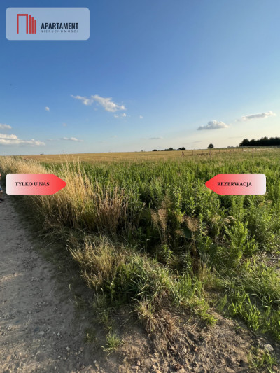 działka budowlana815 m2REZERWACJA - powiat trzebnicki  -
Dolnośląskie Zdjęcie nr 3