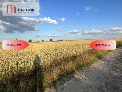 działka budowlana815 m2REZERWACJA - powiat trzebnicki  -
Dolnośląskie Zdjęcie nr 4