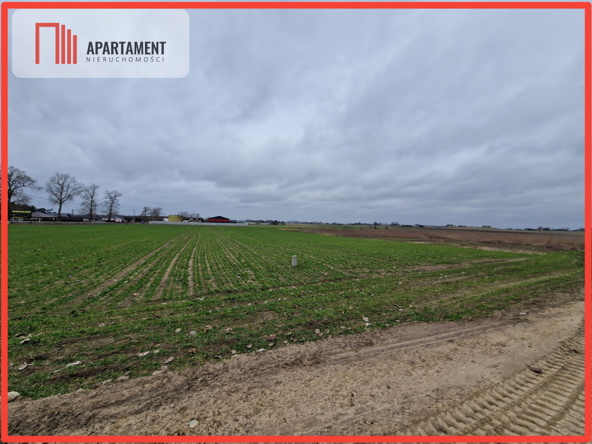 Działka budowlana pod Barcinem - powiat żniński  -
Kujawsko-Pomorskie Zdjęcie nr 1