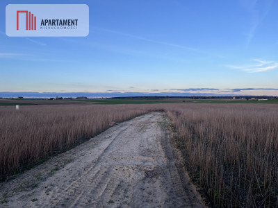 Działka budowlana pod Barcinem - powiat żniński  -
Kujawsko-Pomorskie Zdjęcie nr 2
