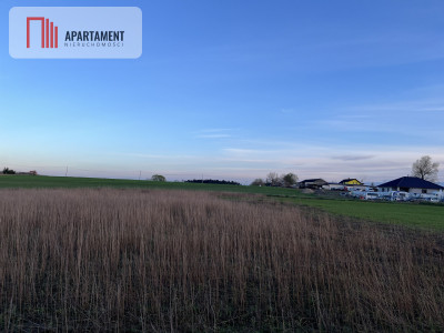 Działka budowlana pod Barcinem - powiat żniński  -
Kujawsko-Pomorskie Zdjęcie nr 4